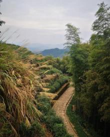 径山古道4