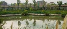 兰里景区5