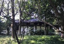 东吴文化公园12