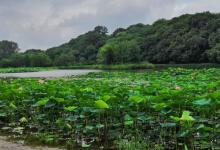 湖滨晴雨21