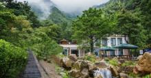 神龙川风景区6