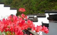 神龙川风景区4