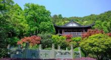 龙井问茶2