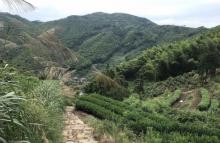 安顶山4