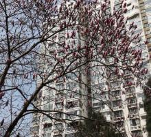 钱江世纪公园8