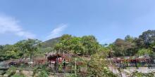 庾村文化市集7