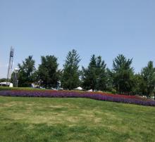 千岛湖广场6