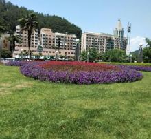 千岛湖广场5