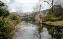 长桥溪生态公园5