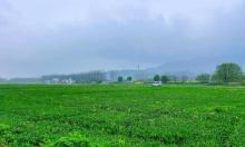 富阳桐洲岛露营地2