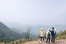 龙井山园茶文化村7