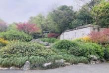 龙井山园茶文化村5