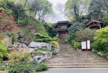 龙井山园茶文化村3