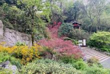 龙井山园茶文化村1