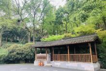 龙井山园茶文化村4