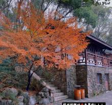 中国茶叶博物馆龙井馆区30