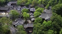 中国茶叶博物馆龙井馆区5
