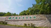 中国茶叶博物馆龙井馆区1