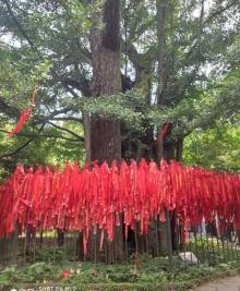 五云山3