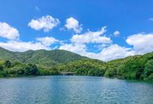 半山国家森林公园22