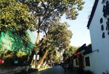 桥西历史街区18