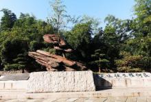 桥西历史街区16