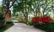 浙江大学之江校区28