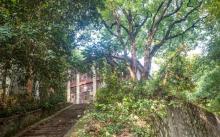 浙江大学之江校区11