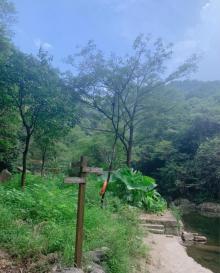 山湾湾激流探险9