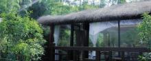湖州长颈鹿庄园7