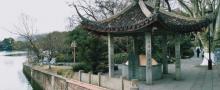 苏小小墓19