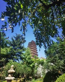 香积寺30