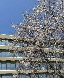 阿里巴巴西溪园区10