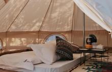 Camp Wonder露营地4