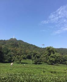 北高峰16