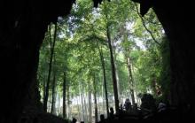 瑶琳国家森林公园9