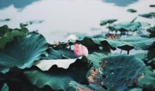 湘湖6