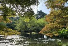 柳浪闻莺14