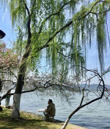 柳浪闻莺26