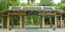 柳浪闻莺27