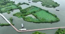德清下渚湖湿地公园8