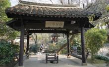 沈园13