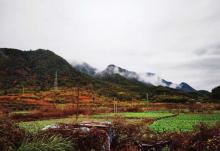 芹川村7