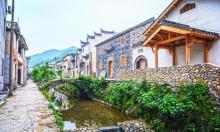 芹川村6