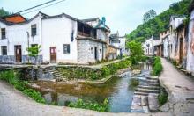 芹川村5