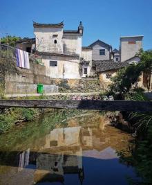 芹川村24