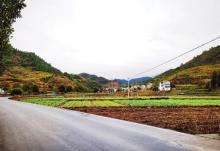 芹川村8