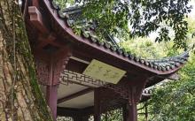 孤山12