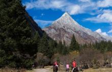 孤山5