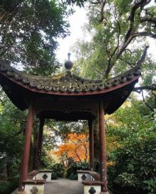 孤山21